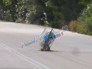 Όχι δεν φύτρωσε δέντρο στην μέση του δρόμου - Φωτό από την ε.ο. Πρέβεζας Ηγουμενίτσας - Φωτογραφία 1