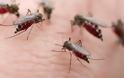 Θα μας «φάνε» τα κουνούπια! - Περιοχές υψηλού κινδύνου Αχαΐα-Ηλεία-Αιτωλ/νία - Kαθυστέρησαν οι ψεκασμοί λόγω έλλειψης χρημάτων -