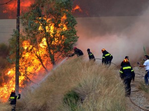 ΣΥΜΒΑΙΝΕΙ ΤΩΡΑ: Φωτιά μεταξύ Ζαγοράς και Πουρίου στο Πήλιο - Φωτογραφία 1