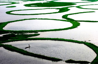 Loktak Lake: Σπάνια λίμνη με πλωτά νησιά! - Φωτογραφία 4