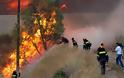 ΣΥΜΒΑΙΝΕΙ ΤΩΡΑ: Πυρκαγιά στις Γλαφυρές Μαγνησίας