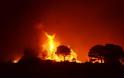 Πάτρα-Tώρα: Φωτιά σε δύσβατη περιοχή στην Καλλιθέα – Στο σημείο πνέουν ισχυροί άνεμοι