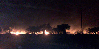 ΣΥΜΒΑΙΝΕΙ ΤΩΡΑ: Ανεξέλεγκτες πυρκαγιές στη Κυπαρισσία! Μέτωπα προς Φιλιατρά και Μεμί και γήπεδο - Φωτογραφία 1
