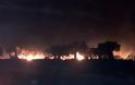 ΣΥΜΒΑΙΝΕΙ ΤΩΡΑ: Ανεξέλεγκτες πυρκαγιές στη Κυπαρισσία! Μέτωπα προς Φιλιατρά και Μεμί και γήπεδο - Φωτογραφία 1