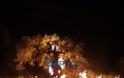 Δείτε φωτογραφίες από τη φωτιά στη Κυπαρισσία