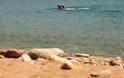 Εκεί που οι βουτιές απαγορεύονται - Oι έξι ακατάλληλες παραλίες για κολύμβηση στην Ελλάδα