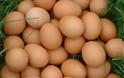 Υγεία: Τα αυγά μπορούν & να μειώσουν την όρεξη!