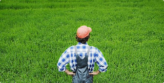 ΕΛΓΑ: Aύριο οι πληρωμές των αγροτών - Ποια ποσά κατανέμονται σε Αχαΐα, Ηλεία, Αιτωλοακαρνανία - Φωτογραφία 1