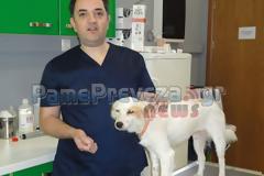 Η ιστορία της Αβγόλας, του θηλυκού Χάτσικο από την Πρέβεζα, συνεχίζεται…! Γνωρίστε την στο βίντεο