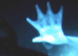Εξωγήινο πλάσμα εντοπίστηκε στο βυθό της Γροιλανδίας [video] - Φωτογραφία 2