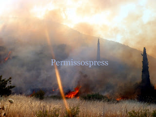 Μεγάλη φωτιά στην Αλίαρτο - Απειλήθηκαν σπίτια [video] - Φωτογραφία 1