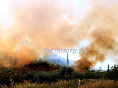 Μεγάλη φωτιά στην Αλίαρτο - Απειλήθηκαν σπίτια [video] - Φωτογραφία 3
