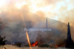 Μεγάλη φωτιά στην Αλίαρτο - Απειλήθηκαν σπίτια [video]