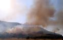 Μεγάλη φωτιά στην Αλίαρτο - Απειλήθηκαν σπίτια [video] - Φωτογραφία 2