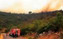 Φθιώτιδα: Πυρκαγιά σε εξέλιξη στην περιοχή της Υπάτης