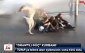 ΣΟΚ στη διεθνή κοινή γνώμη - Βίντεο καταγράφει την εν ψυχρώ δολοφονία διαδηλωτή στη πλ. Ταξίμ - Συγκλονιστικές εικόνες