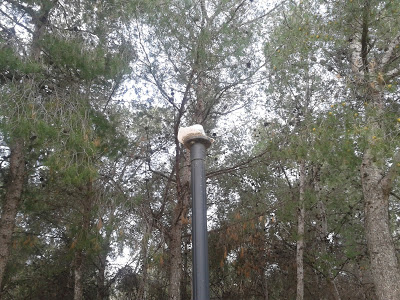 Βάνδαλοι κατέστρεψαν κολώνες φωτισμού στο Άλσος Παπάγου, σύμφωνα με αναγνώστη - Φωτογραφία 3