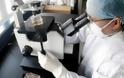 Δέκα ύποπτα κρούσματα του ιού της νέας άτυπης πνευμονίας SARS στην Φλωρεντία