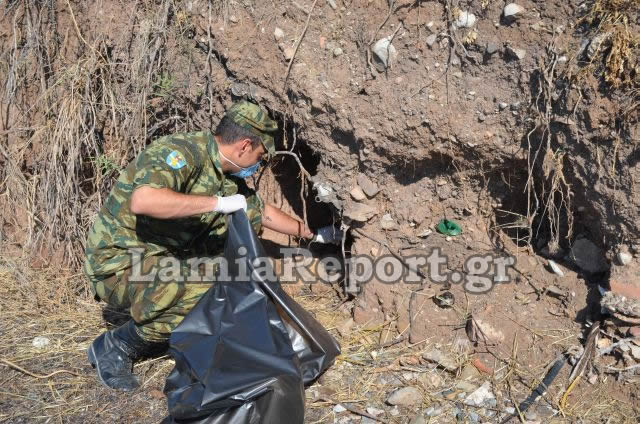 Φθιώτιδα: Την παραλία της Αγ. Μαρίνας καθάρισε η ΜΕΡΥΠ (ΒΙΝΤΕΟ-ΦΩΤΟ) - Φωτογραφία 5