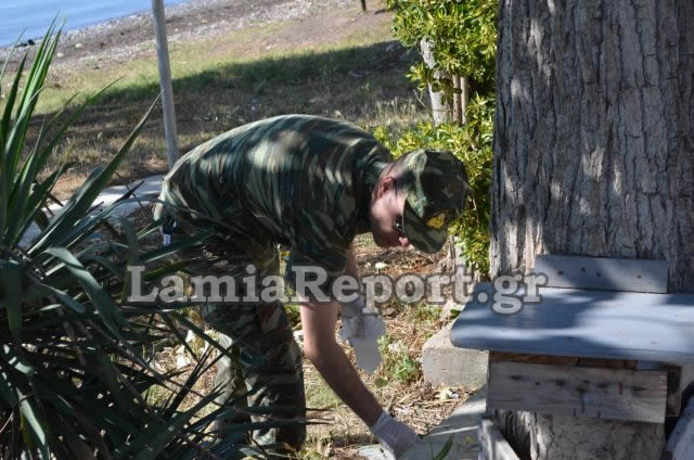 Φθιώτιδα: Την παραλία της Αγ. Μαρίνας καθάρισε η ΜΕΡΥΠ (ΒΙΝΤΕΟ-ΦΩΤΟ) - Φωτογραφία 9