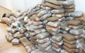 Πάνω από 520 κιλά κάνναβης κατασχέθηκαν από αποθήκη στη Χαλκίδα