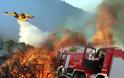 Φθιώτιδα: Μεγάλη φωτιά σε εξέλιξη στο Πουρνάρι Δομοκού