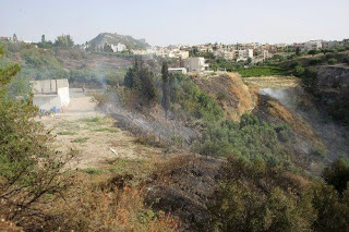 Τεράστιες οι καταστροφές από το πέρασμα της πύρινης λαίλαπας στην Κρήτη - Φωτογραφία 1