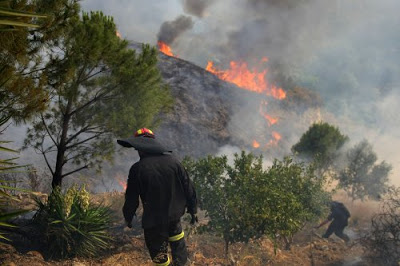 Τεράστιες οι καταστροφές από το πέρασμα της πύρινης λαίλαπας στην Κρήτη - Φωτογραφία 3