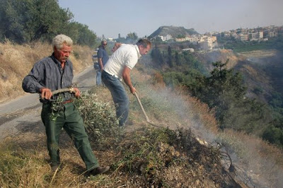 Τεράστιες οι καταστροφές από το πέρασμα της πύρινης λαίλαπας στην Κρήτη - Φωτογραφία 5