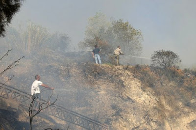 Τεράστιες οι καταστροφές από το πέρασμα της πύρινης λαίλαπας στην Κρήτη - Φωτογραφία 7