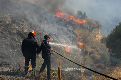 Τεράστιες οι καταστροφές από το πέρασμα της πύρινης λαίλαπας στην Κρήτη - Φωτογραφία 8