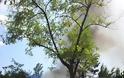Έκρηξη σε ουζερί στο Ν. Ψυχικό σύμφωνα με αναγνώστη - Φωτογραφία 2