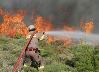 ΣτΕ: Εγκρίθηκαν 1.578 προσλήψεις για εποχικούς πυροσβέστες - Φωτογραφία 1