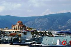 Παραγάδι έβγαλε καύκαλο αγνώστου ζώου στην Κοιλάδα Ερμιόνιδας. Δείτε φωτογραφίες!