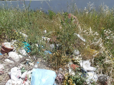 Νεκροταφείο σκουπιδιών το νεκροταφείο του Καναλακίου του Δήμου Παργας - Φωτογραφία 4