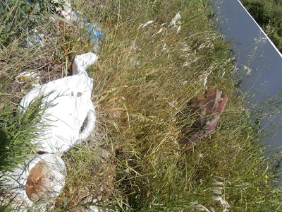 Νεκροταφείο σκουπιδιών το νεκροταφείο του Καναλακίου του Δήμου Παργας - Φωτογραφία 6