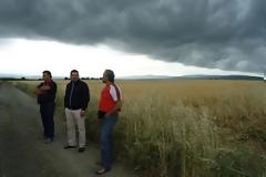 Μεγάλες καταστροφές σε καλλιέργειες στο Νησί του Δήμου Γρεβενών [Video]