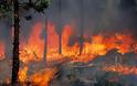 Συμβαίνει τώρα: Επικίνδυνη φωτιά στη Ρόδο