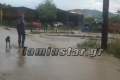 Καταστροφές από βροχή και χαλάζι στην Μάκρη [video]