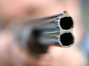 Αλμυρός Μαγνησίας: 35χρονος πυροβόλησε όχημα της Δ.Ε.Η, για να μην του κόψουν το ρεύμα - Φωτογραφία 1