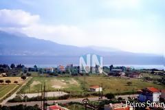 Ζούγκλα 4 στρεμμάτων στο κέντρο της Παλαιοπαναγιάς Ναυπάκτου