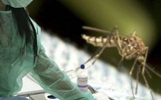 Υπαρκτός ο κίνδυνος ελονοσίας λόγω κουνουπιών στην Ελλάδα - Φωτογραφία 1