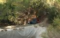 Πάτρα: 63χρονος είχε φτιάξει «δασάκια» από χασίς σε Ομπλό και Καλλιθέα - Φωτογραφία 3
