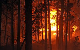 Εκατοντάδες σπίτια κάηκαν από πυρκαγιές στις ΗΠΑ - Φωτογραφία 1