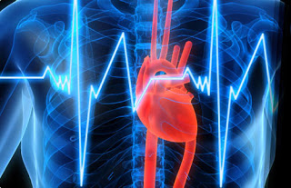 Δωρεάν πρόγραμμα πρόληψης καρδιαγγειακών νοσημάτων στο Δήμο Αμαρουσίου για τις ευπαθείς κοινωνικά ομάδες με τη συνεργασία της Ιατρικής Σχολής Αθηνών - Φωτογραφία 1
