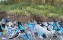 Οικολογική Δυτική Ελλάδα: Σκουπιδότοπος στις εκβολές Σελινούντα, η ευθύνη στο Δήμο Αιγιαλείας - Φωτογραφία 2