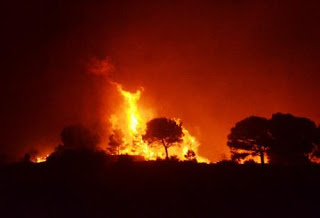 Πάτρα-Tώρα: Πυρκαγιά στο Ρηγανόκαμπο - Φωτογραφία 1
