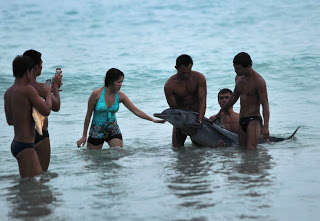 Έβγαζαν δελφίνι από το νερό για να φωτογραφηθούν μαζί του! - Φωτογραφία 1
