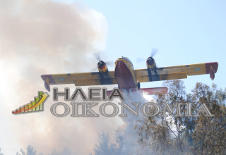 Αμαλιάδα: Μεγάλη φωτιά στην περιοχή της Μονής Φραγκαπηδήματος - Φωτογραφία 1