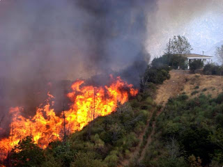 Μεγάλη πυρκαγιά στη Μεσαρά - Απειλούνται σπίτια - Φωτογραφία 1